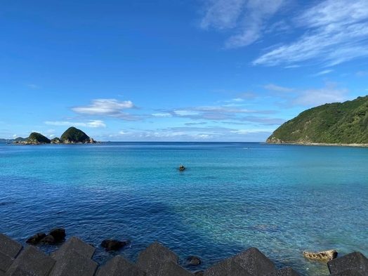 素泊まりプラン。海の目の前のお部屋です